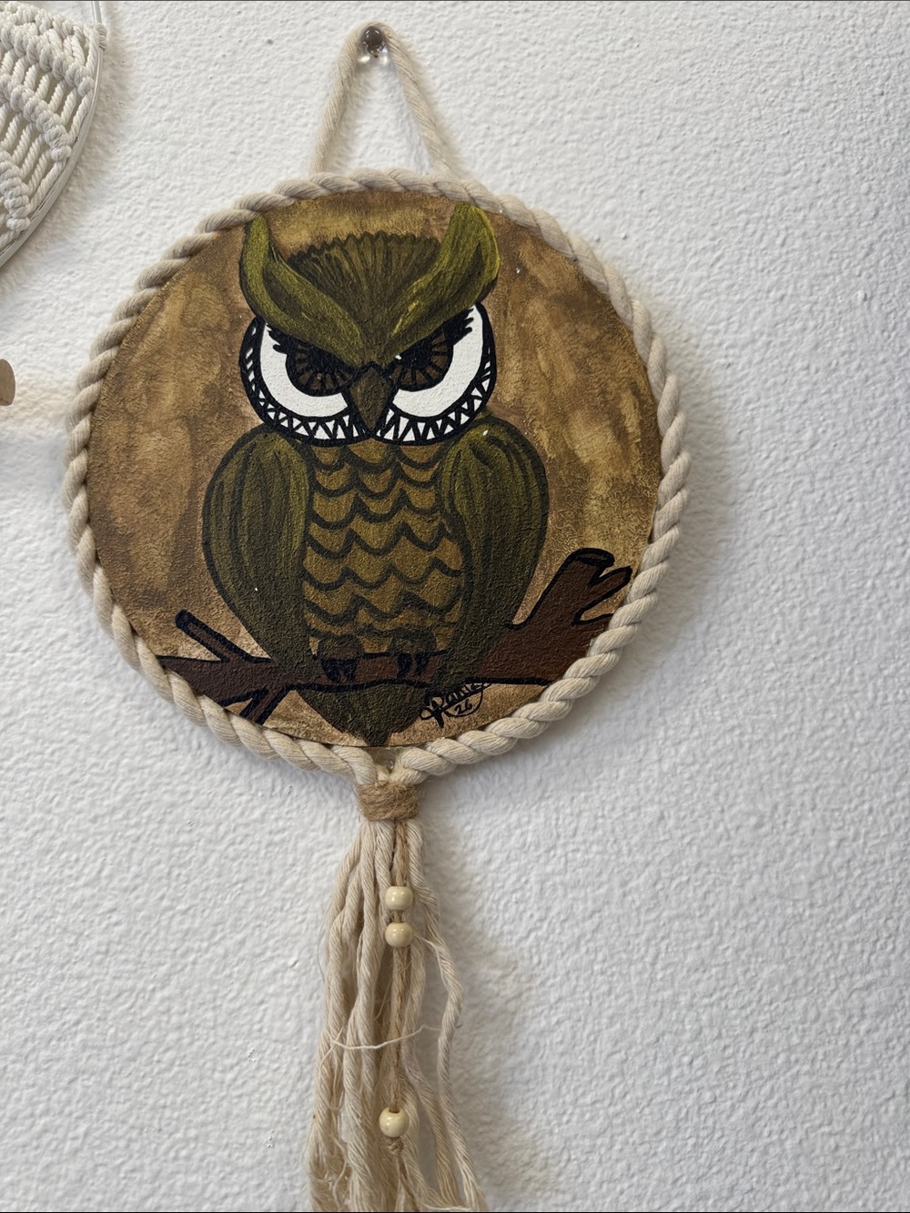 Hand-Painted Green Owl Wall Hanging by